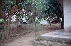 1999 Nepal 05 48