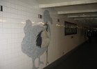 IMG 2915