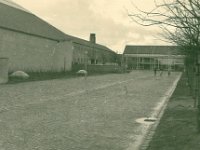 Idrætshøjskolen