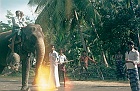 1982 SriLanka 2 49