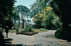 1982 SriLanka 7 25  Peradniya botaniske have