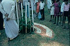 1982 SriLanka 7 43  Peradniya botaniske have