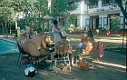 1982 SriLanka 8 38  Tilbage på hotellet i Kandy