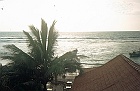 1982 SriLanka 12 15  Udsigten fra vores værelse