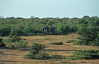 1982 SriLanka 11 27  På safari