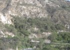 IMG 3719