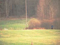 Sve apr96-21
