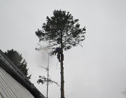 IMG 1471