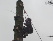 IMG 1476