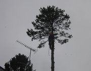 IMG 4891