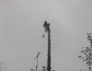 IMG 4892