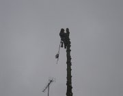 IMG 4893