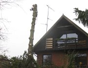 IMG 4894
