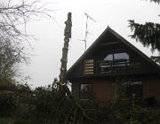 IMG 4895