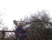 IMG 4897