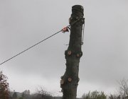 IMG 4904
