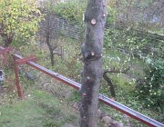IMG 4905