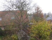 IMG 4906