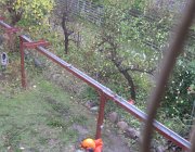 IMG 4907
