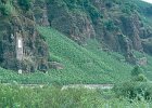 1981 Mosel 01 06