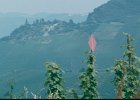 Mosel 1981 05 23