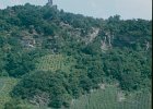 Mosel 1981 05 27