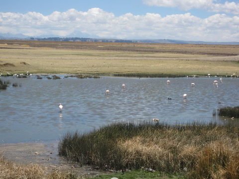 IMG_3624_resize IMG_3624_resize