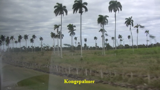 Camaguey_08_2 (11).Movie_Snapshot_resize