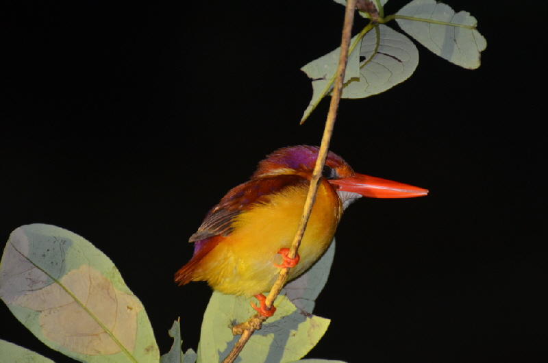 DSC_7631rz DSC_7631rz