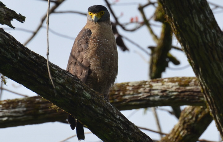 DSC_8457rz DSC_8457rz