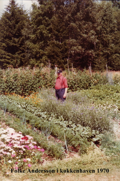 FolkeAndersson_kallermoen1970 FolkeAndersson_kallermoen1970