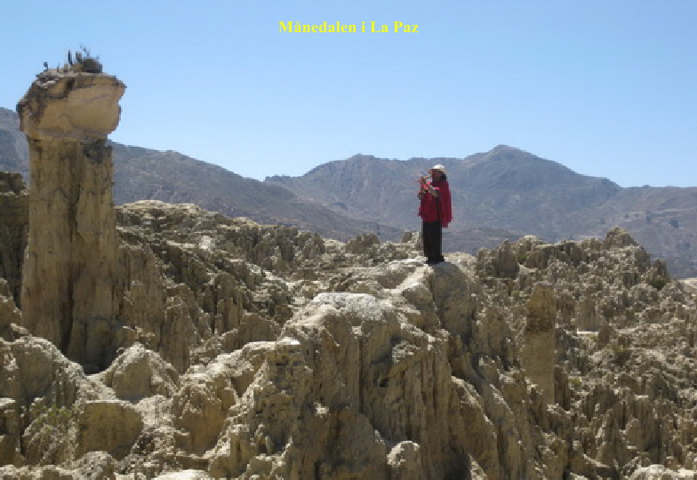 IMG_3662 IMG_3662