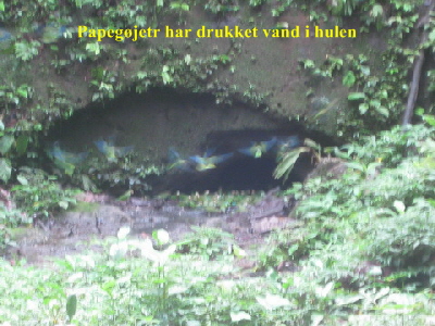 IMG_3826 IMG_3826