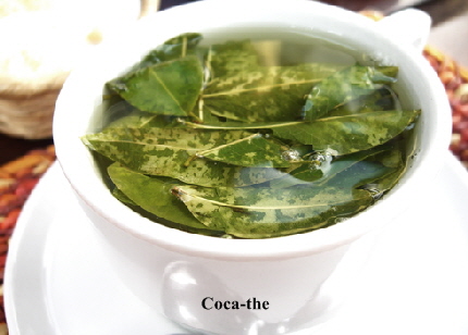 coca_th coca_th