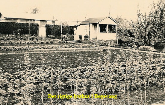 bøgevang2 (kopi) bøgevang2 (kopi)