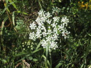 108-0874_IMG