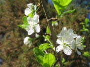 2008-05-09 22-24-37_0026