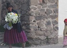 IMG 2306