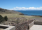 IMG 2318