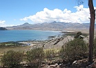 IMG 2319