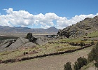 IMG 2320