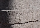 IMG 2349