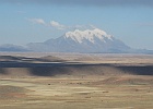 IMG 2361