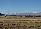IMG 2366