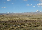 IMG 2370