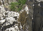 IMG 2387