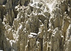 IMG 2388