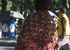 IMG 2411