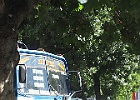 IMG 2412