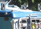IMG 2412crop